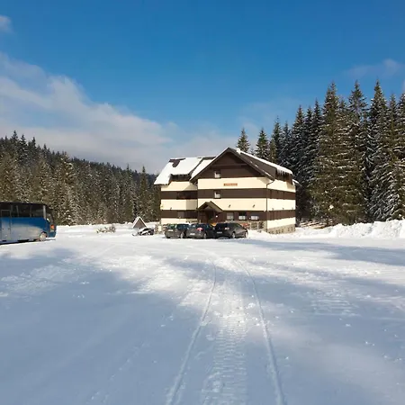 Kohutik